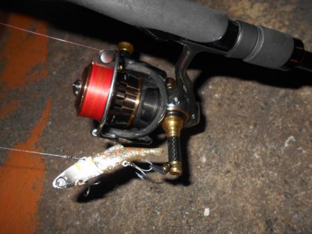 VJ-22ヘッド＋CA-02 アルカリシャッドの組み合わせでヒット。