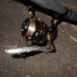 超ショートバイト…。