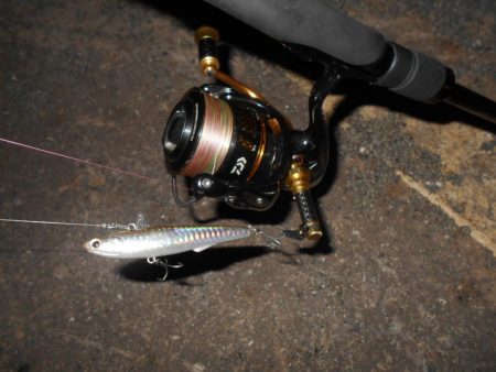 超ショートバイト…。