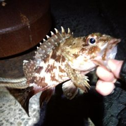 暖かく風も無いので