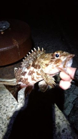 暖かく風も無いので