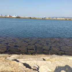 フラットフィッシュゲームNo.8