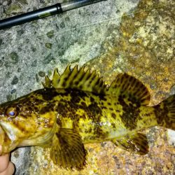 冬の根魚調査１３