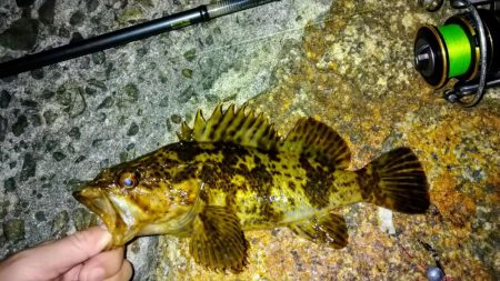 冬の根魚調査１３