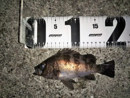 トゥィッチに好反応