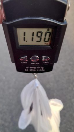 タコ初のキロアップ