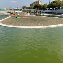 岸和田フィッシングパーク 祝日は