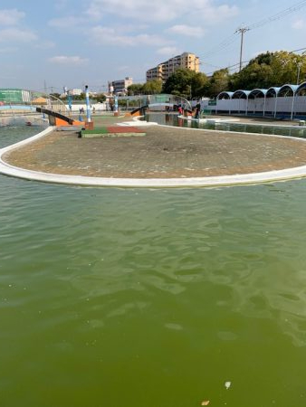 岸和田フィッシングパーク 祝日は