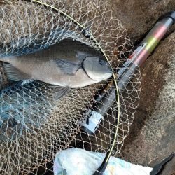 フカセ‥最高ですネ・・