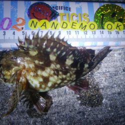 釣りデビュー 73日目