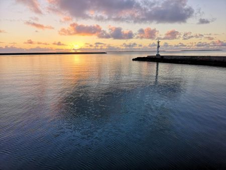 久しぶりのオニヒラアジ