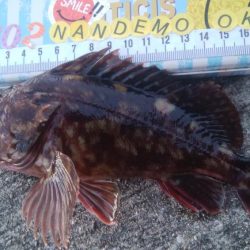 釣りデビュー　80日目