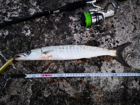 ロッド鱗付けの為にお出掛け