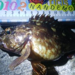 釣りデビュー 87日目