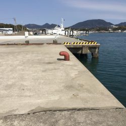 文里港でウォーキング　尺アジ1匹