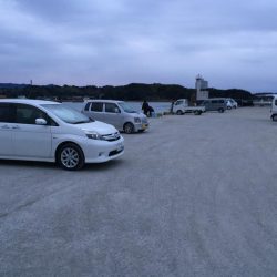 尺アジ1匹、メバル、ベラ、コアジ