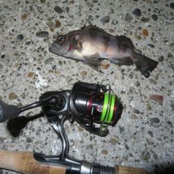 まだ早いのか!?