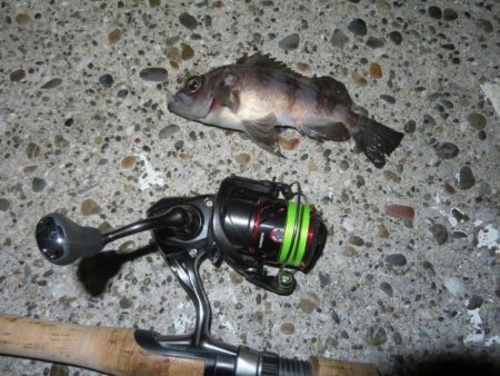 まだ早いのか!?