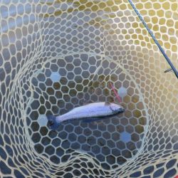 平日なのにスゴイ混雑！