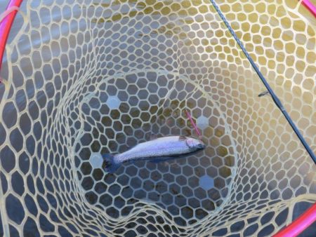 平日なのにスゴイ混雑！