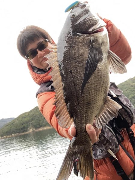 あとイカが釣れていればRIDEONパレードだった。