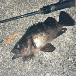 夜明け前のRIDEON！