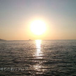 カサゴポツポツ