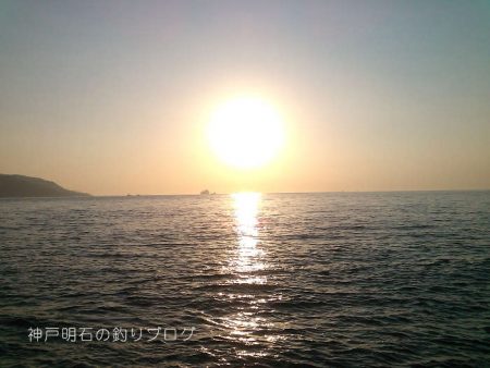 カサゴポツポツ