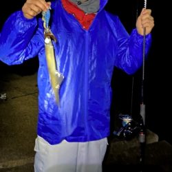 エギング！爆風でしたが、楽しかった