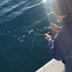 第五慶門丸 釣果