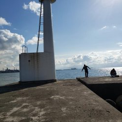 久しぶりの鰤属(^∇^)