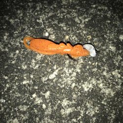 西宮キビレ数は居る