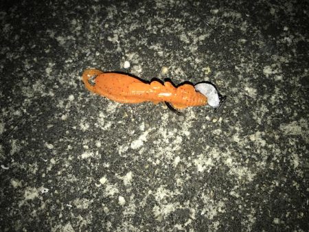 西宮キビレ数は居る