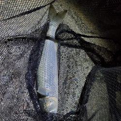 ブリームゲーム