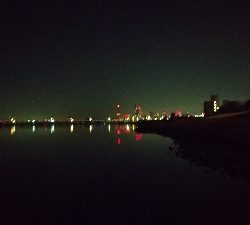 ナイトシーバス、チヌ