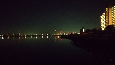 ナイトシーバス、チヌ