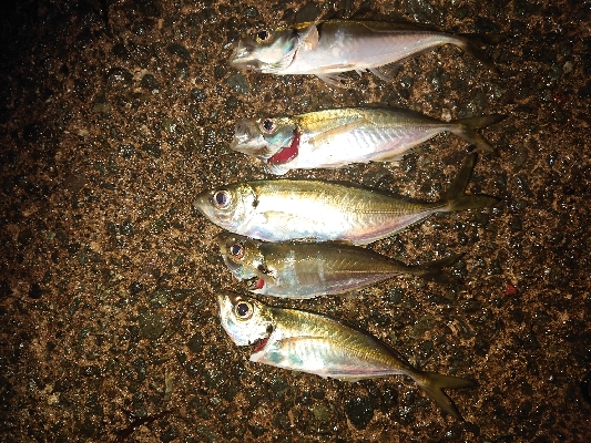 あー気持ちいいもー気持ちいい