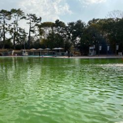 春の陽気の中、エリアトラウト