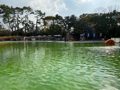 春の陽気の中、エリアトラウト