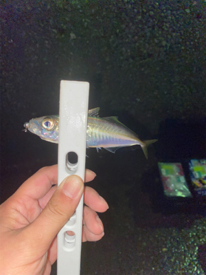 お気に入りのポイントへ