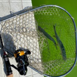 服部緑地 午後 TVの取材が・・・。