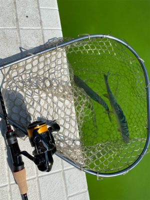 服部緑地 午後 TVの取材が・・・。