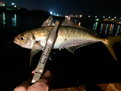 久々の良型アジとメバル