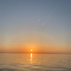 プランクトン・ホタルイカパターン