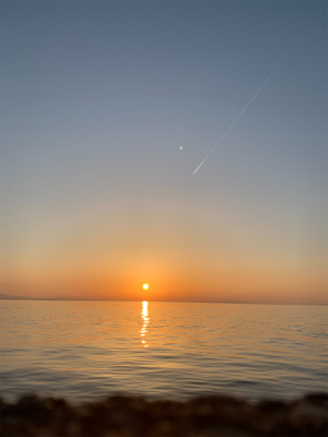 プランクトン・ホタルイカパターン