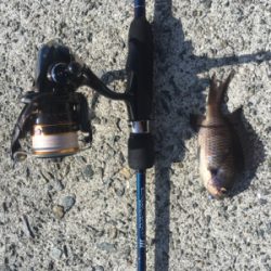 五目釣り達成❗️