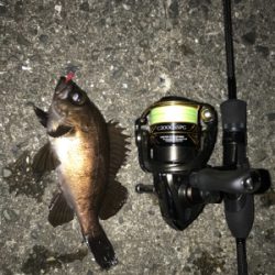 ジグヘッドゲーム