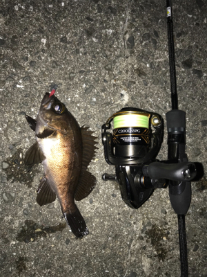 ジグヘッドゲーム