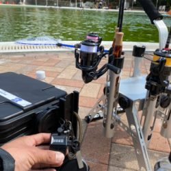 服部緑地　そろそろ数釣りには水温限界かも