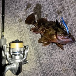 テスト明けの至福タイム